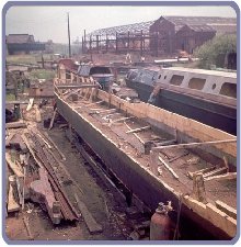 Exe in water behind Lady