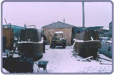 Almost a christmas card scene