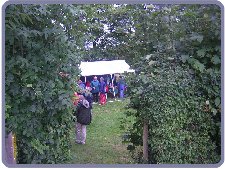 The site: from the canal towpath