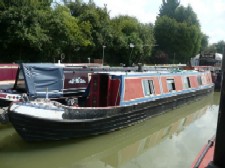 Rose of Clayworth: As on Apollo Duck: Ad no 122740 