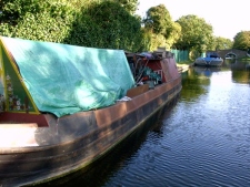 Nightjar: Awaiting some TLC