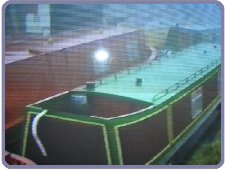 Olga May: 1992 at yard