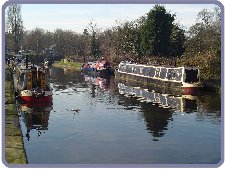 Proper Job: Lymm 2008: next to White Harriet II