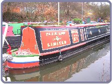 Has the lines and pedigree of an Allen