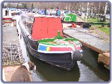 The bows shout Allen