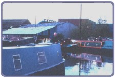 Dajo ( Holly) in prime: from Gallery