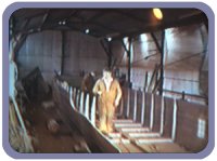 sides are winched up