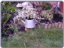 Barry's garden 2003: Listed monument?