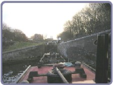 On the Crow: Steerers new view